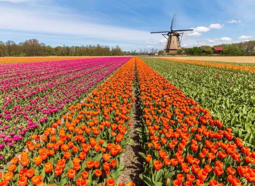 Garden Find Zandvoort Bentveld Exterior photo